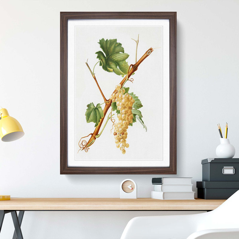 Vermentino Grapes by Giorgio Gallesio - Picture Frame Painting Print, 48cm H x 36cm W x 2cm D, Walnut Framed