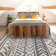 Liyuan Southwestern Hand Woven Area Rug