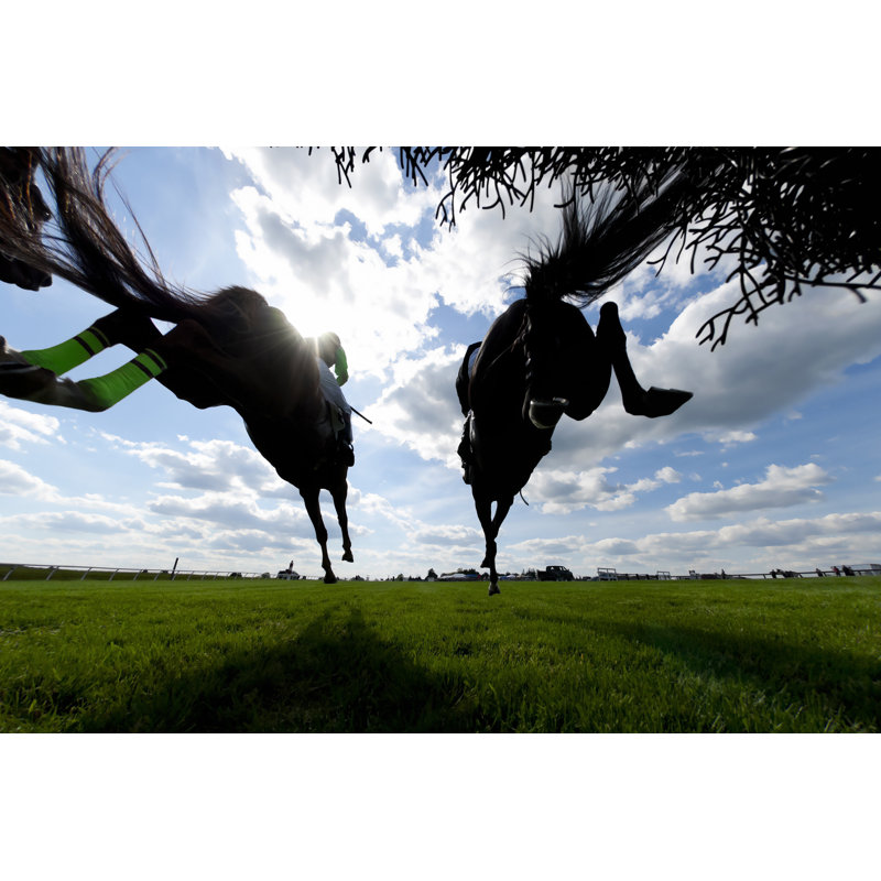 Low Angle View Horse by Cmannphoto - No Frame Print on Canvas, 20cm H x 30cm W