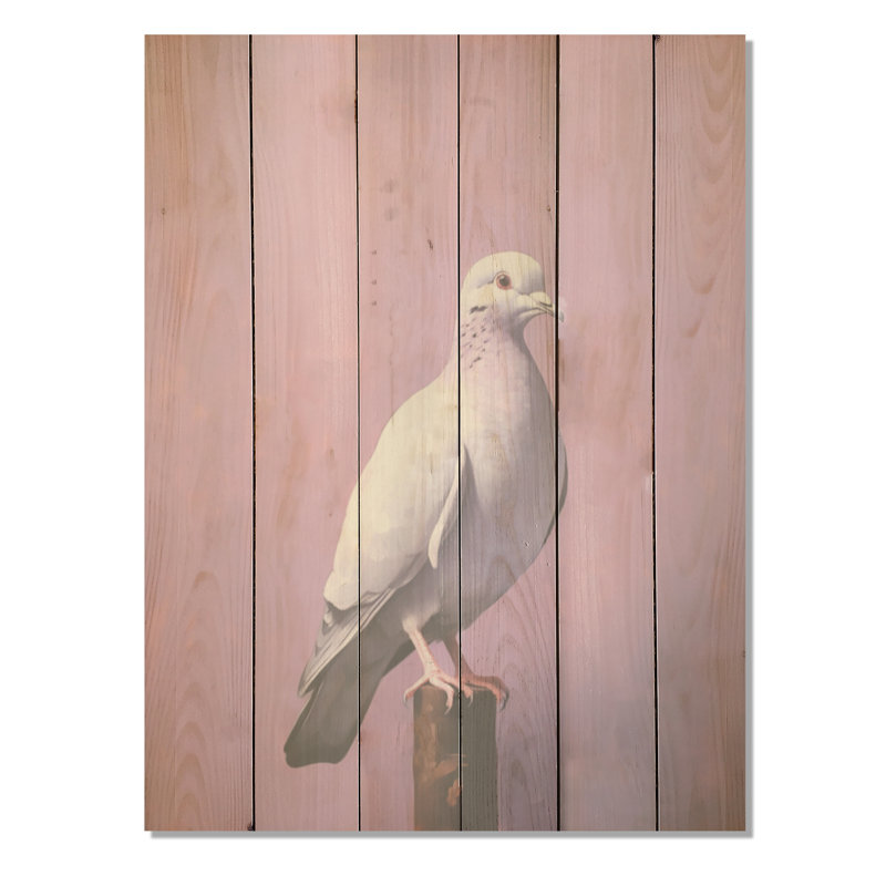Polished Dove - Dove Wood Wall Art On Natural Pine Wood, 20" H x 10" W