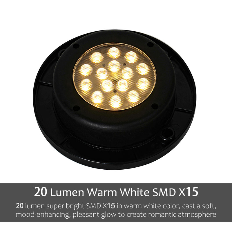 Floor Solar Light (Set of 2)