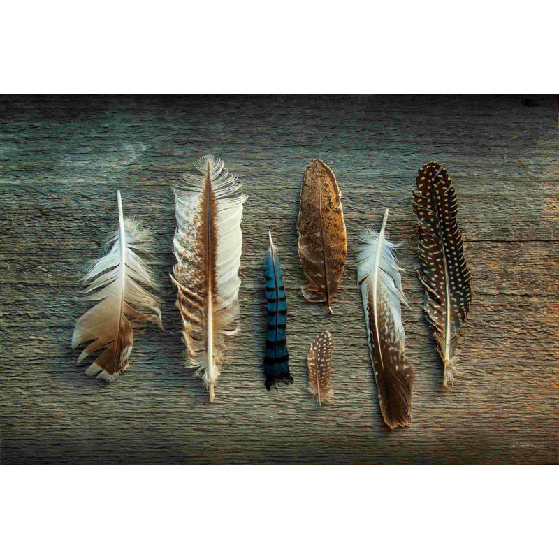 Collection Feather I, H 8 po x l 12 po