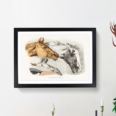 Horse Illustrations by Henry Alken - Picture Frame Painting Print