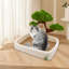 Lit pour animal en velours Daymein