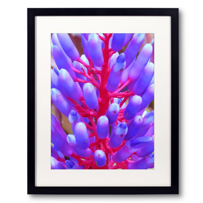 Drew Gaffney " Blue And Magenta Fabricata " by Drew Gaffney
