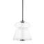Palermo 1 Light Pendant