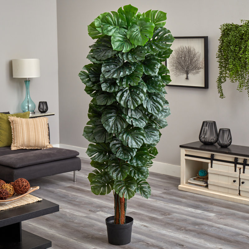 Tree in Pot Liner
