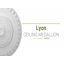 Médaillon de plafond Endurathane Lyon, DE 23 1/2 po x P 3 1/4 po (convient aux auvents jusqu'à 3 5/8 po)-28581945