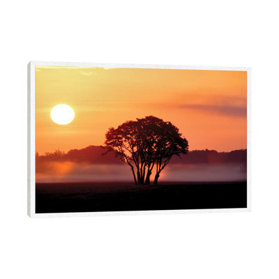 Pasture Sunrise by Dennis Frates - Print on Canvas