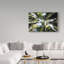 «Redwoods» Avisha, reproduction de photo sur toile tendue-25332226