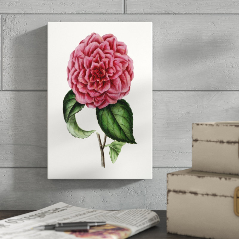 Grand Blooms III by Unknown - Painting Print, 30cm H x 20cm W, Wrapped Canvas