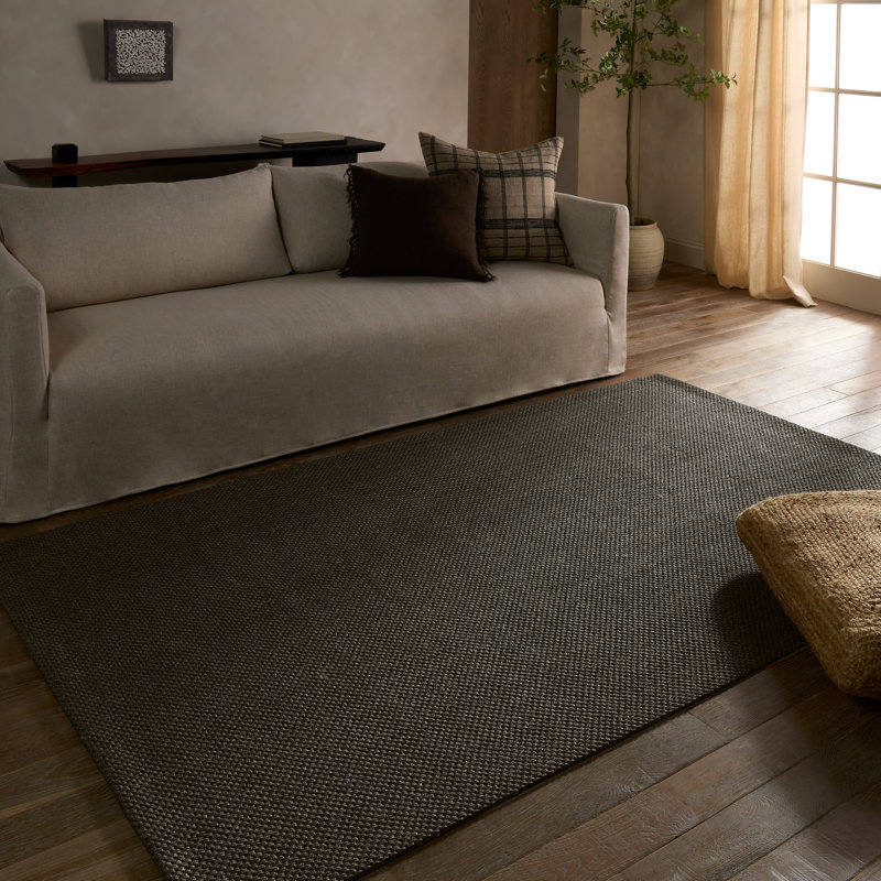 Latitude Run® Lilou Handwoven Solid Gray Area Rug, Rectangle 5' x 8'