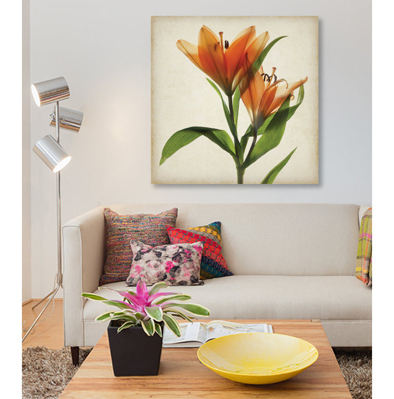 «Parchment Flowers X», impression sur toile, H 37 po x l 37 po x P 1,5 po, Toile tendue, Pas de tapis