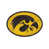 Université de l'Iowa
