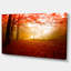 «Yellow Sun Rays in Red Forest», reproduction de photo sur toile tendue-18438068-33219968