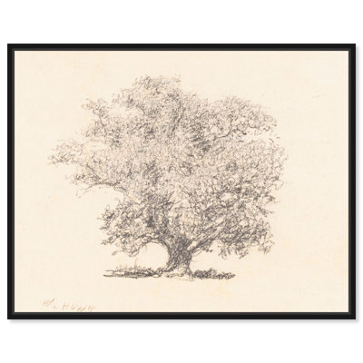 Art Remedy Vintage Sketches Canvas, A Tree in Full Leaf
