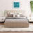 Queen Size Upholstered Platform Bed-688296437