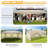 10x20 Pop Up Canopy with Sidewalls-104703933