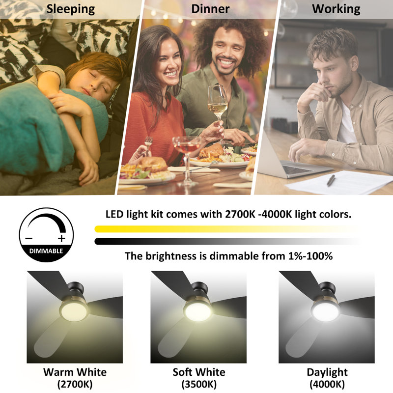 Ventilateur de plafond intelligent à courant continu de 52 pouces avec lumière, tige et télécommande