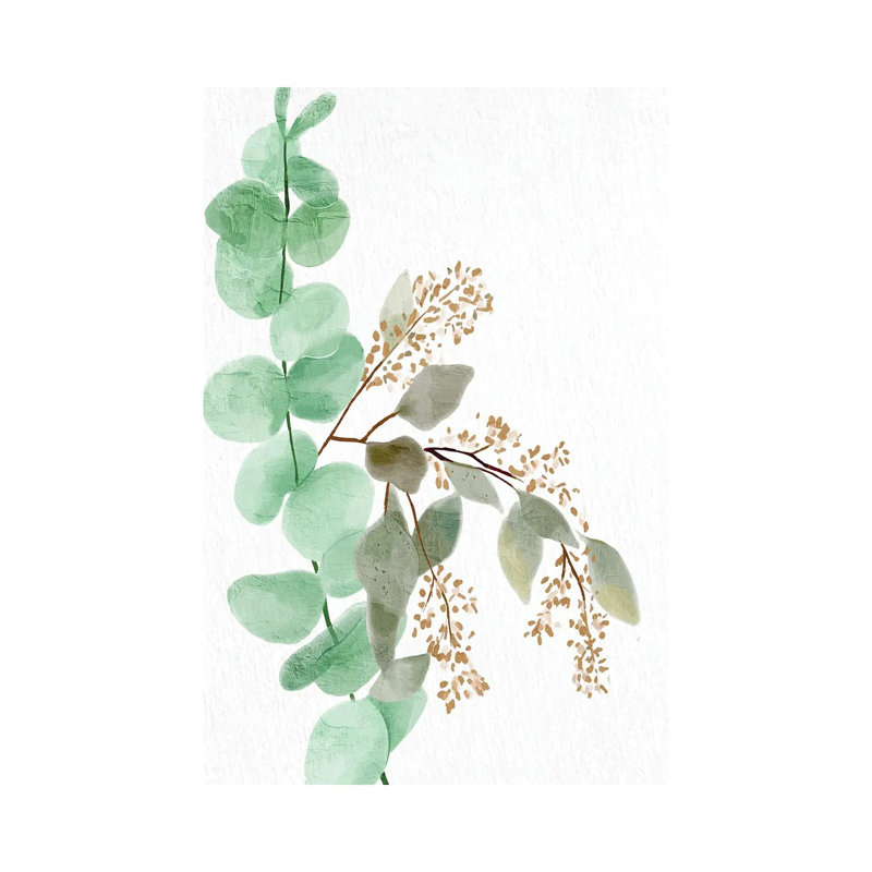 Eucalyptus II by Kimberly Allen - Wrapped Canvas Print, 20.32 cm H x 30.48 cm W