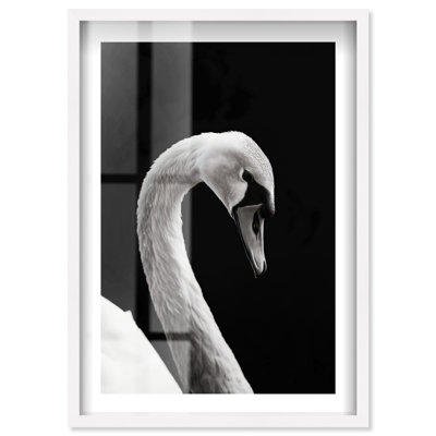 «Inverted Quack Shadowbox» par Notoriart