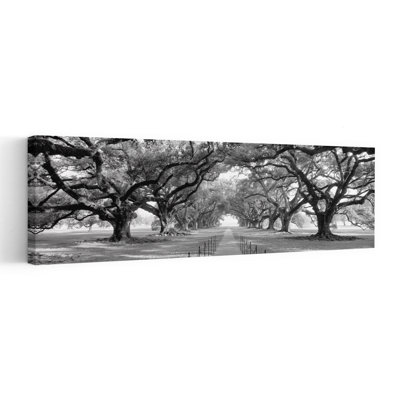 USA Louisiana New Orleans brick path through alley of oak trees 1 Piece Wrapped Canvas Panoramic Wall Art