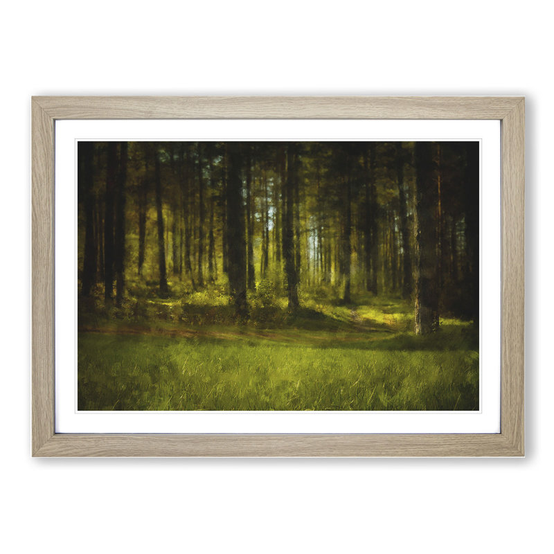 Green Forest Vol.4 - Picture Frame Graphic Art, Oak Framed, 48cm H x 65cm W x 2cm D