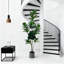 180cm Plant