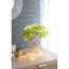 Vase d'intérieur en ciment de style grec - poids de 4,5 lb, 6,3 po x 5,9 po x 9,1 po, vase gris pour pot de fleurs pour jardin