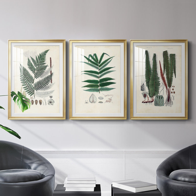 «Ferns IV», reproduction encadrée de qualité supérieure - prête à être accrochée, Cadre doré, H 42,5 po x l 61 po
