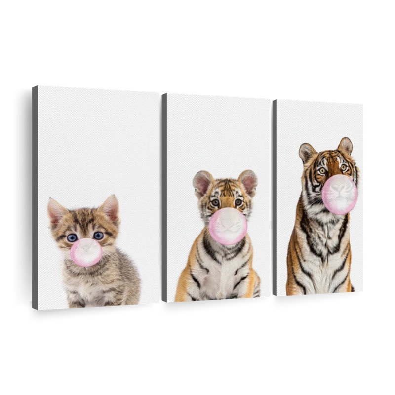 Ensemble de 3 tigres sur toile Bubble Gum, H 24 po x l 38 po x P 1,25 po