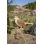 Motion Activated Singing Nightingale Standing on Stump