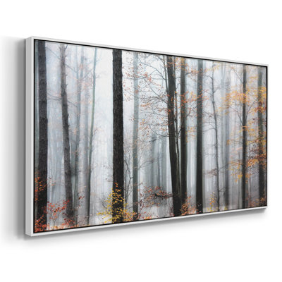 Daylight Enraptured- Framed Gallery Wrapped Canvas -Ready to Hang