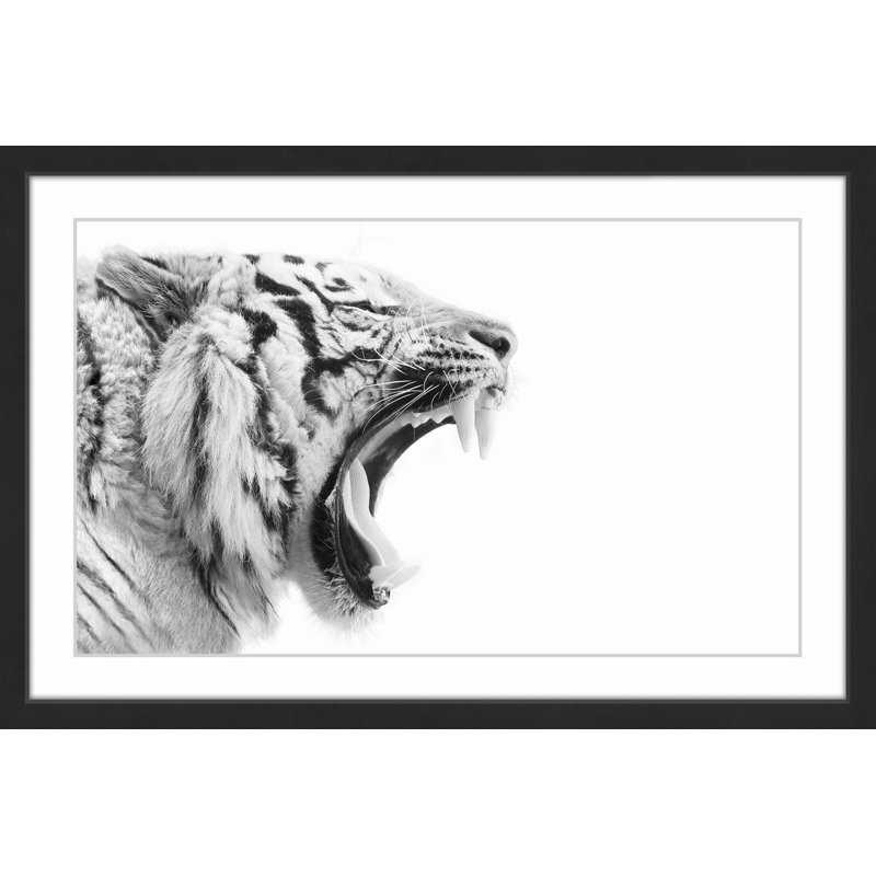 Single Picture Frame Print, 41cm H x 61cm W x 3.81cm D
