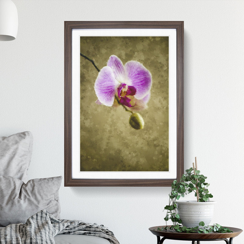 Orchid Flowers Vol.6 - Framed Print, 65cm H x 48cm W x 2cm D, Walnut Framed