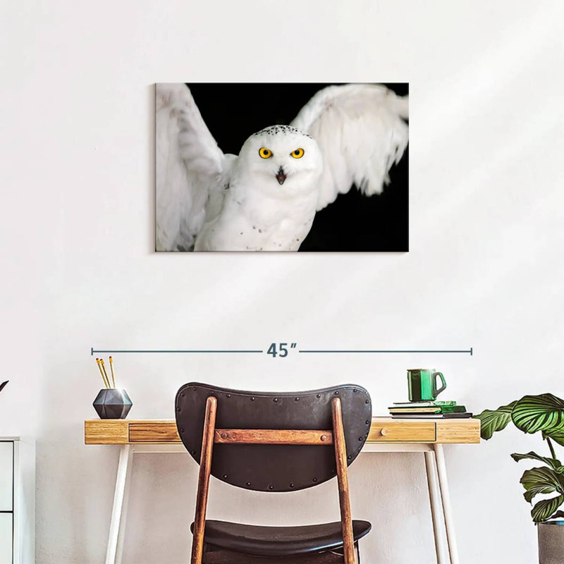 Brampt White Owl, 20" H x 30" W