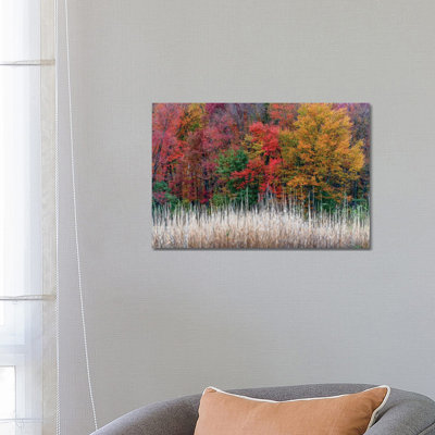 Jersey Colors by David Gardiner - Print on Canvas