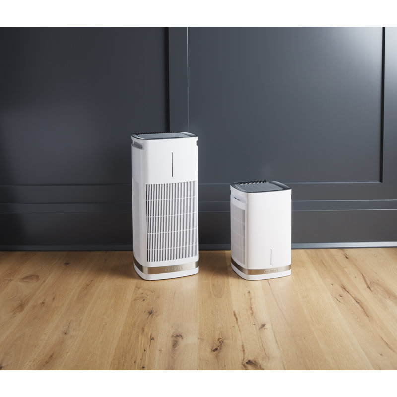 White and Gray Countertop Air Purifier with HEPA Filter