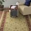 Abbeyville Oriental Area Rug-7370304