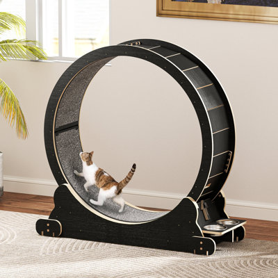 Phillipp Scratching Post