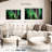 Alvord Fairbanks Aurora Borealis-107948002