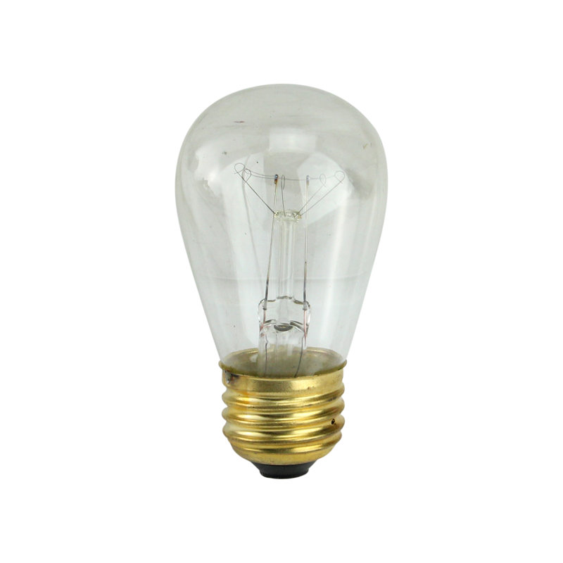 Ampoules incandescentes de remplacement S14, Transparent, H 4 po x l 10 po x P 10 po