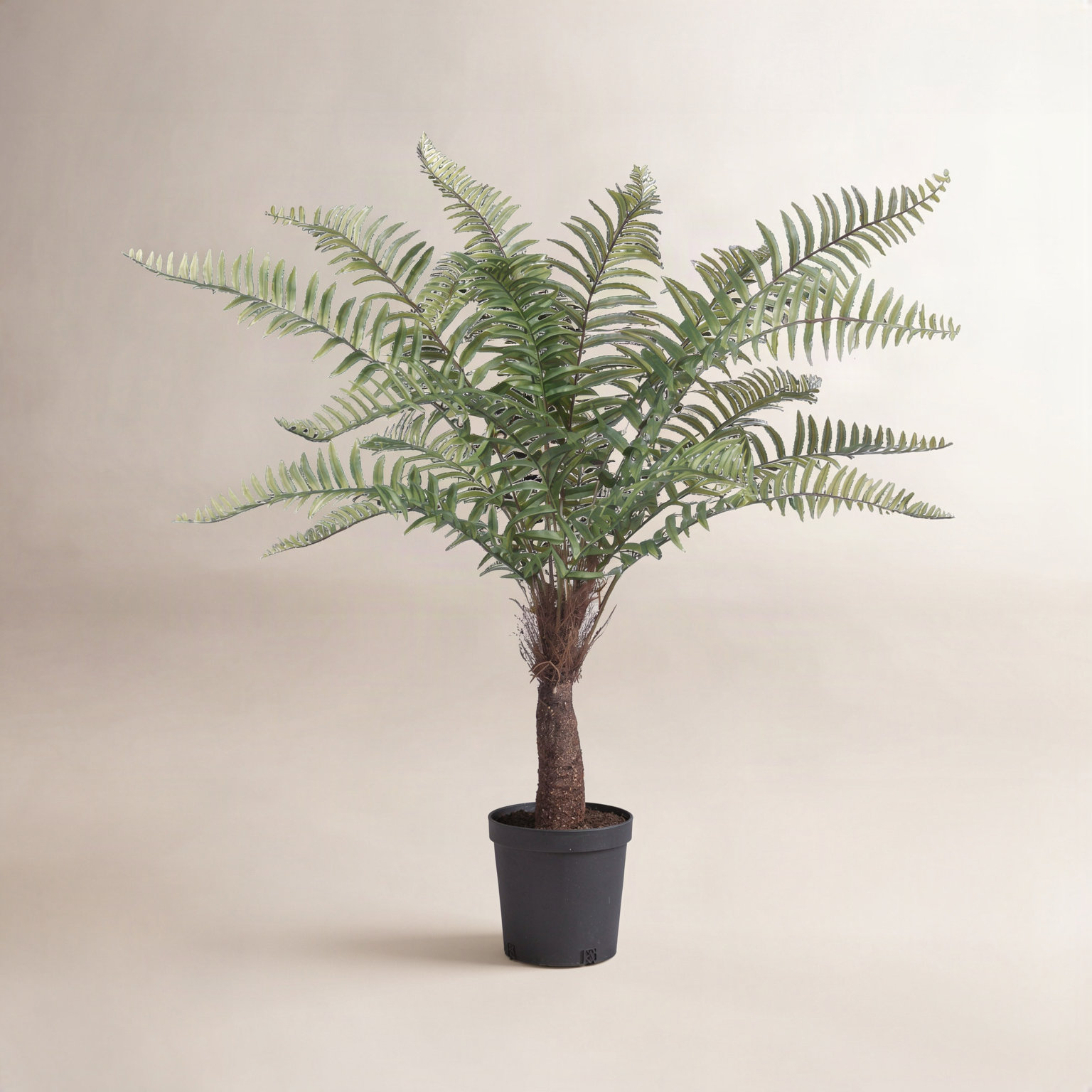 Faux Fern Tree in Pot, 4'