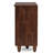 Cornelious 12 - Pair Shoe Storage Cabinet-1496668161