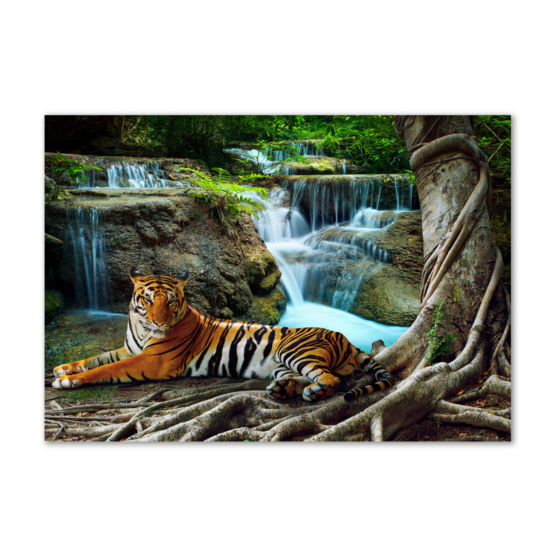 Tiger waterfall 1 Piece Wall Art on Canvas
