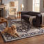 Tapis Xanthos traditionnel à médaillon, style persan, gris ivoire et beige, lavable à la machine, antidérapant, à poils courts, pour l'intérieur et l'extérieur, adapté aux animaux domestiques, idéal pour le salon, la chambre, la salle à manger, l'entrée, le couloir ou le bureau.-1127040127