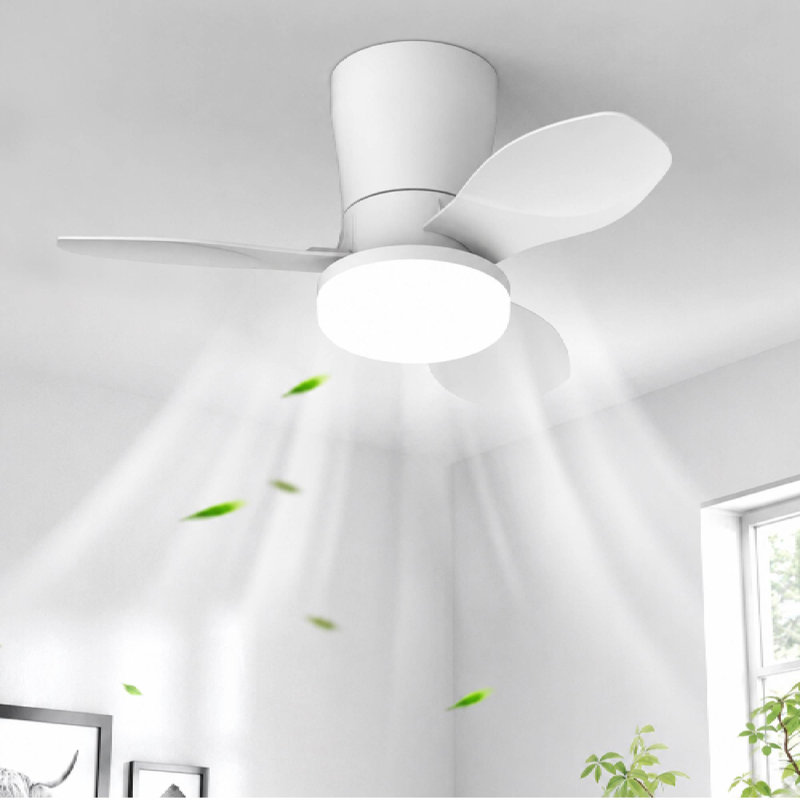 65cm Ceiling Fan with LED Lights, White, White