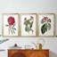 Roseate Blooms IV  -Custom Framed  Premium Print W Matt - 3 Pieces-114374633-114374634