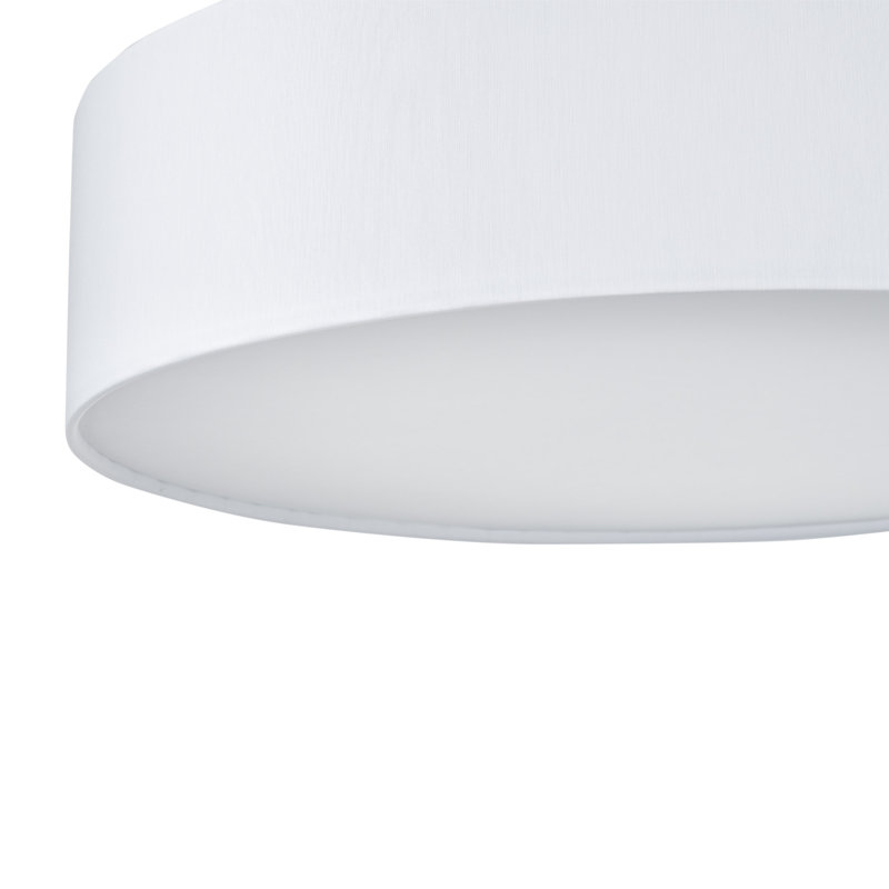 Shroyer Flush Mount