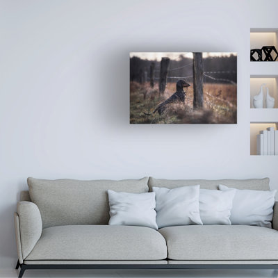 Bolog Heike Willers  Forbidden Fruits Canvas Art